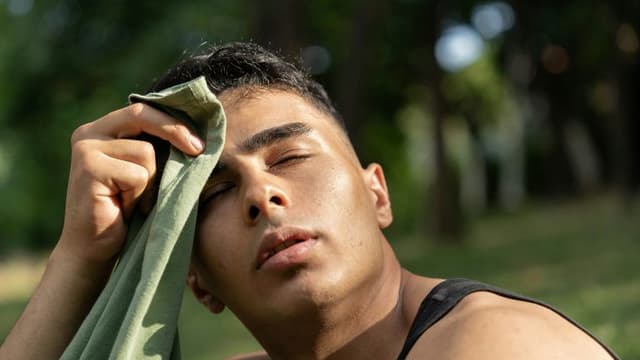 Record-Breaking Heatwave Claims Over 2,300 Lives Across U.S.