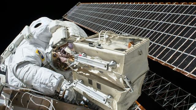 NASA’s Artemis II Mission Advances Human Spaceflight Research