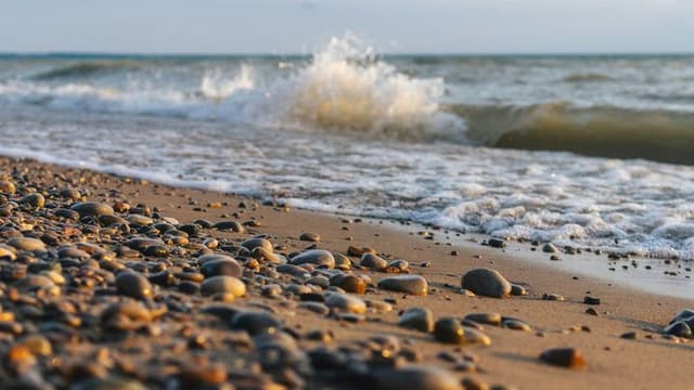 Beach Closures Across the U.S. Due to Elevated Bacteria Levels