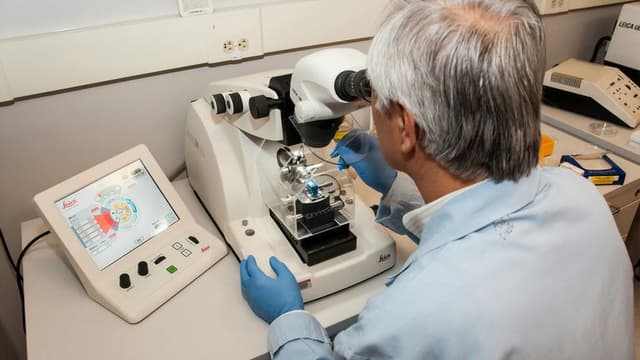 Breakthrough in Alzheimer’s Detection: Blood Test Accurately Diagnoses Early-Stage Disease