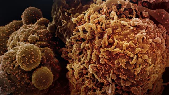 Revolutionary Cancer Therapy Using AI-Designed Drugs Shows Promising Results