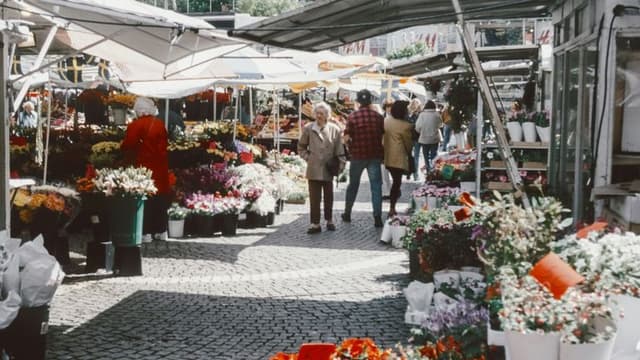 New York City’s Farmers Markets Thrive Amid Urban Agriculture Boom