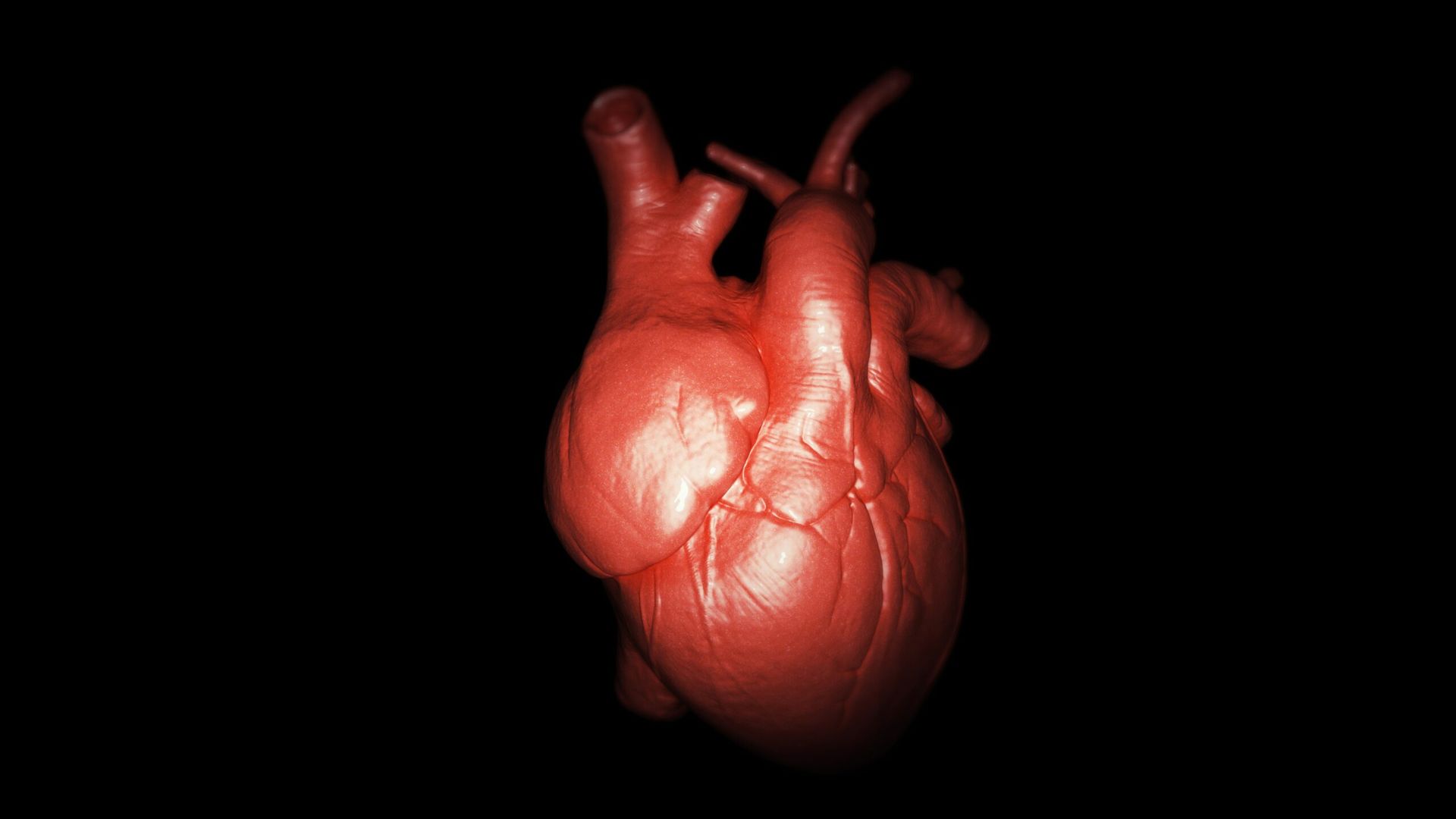 Scientists Film the Heart Forming in 3D Earlier Than Ever Before
