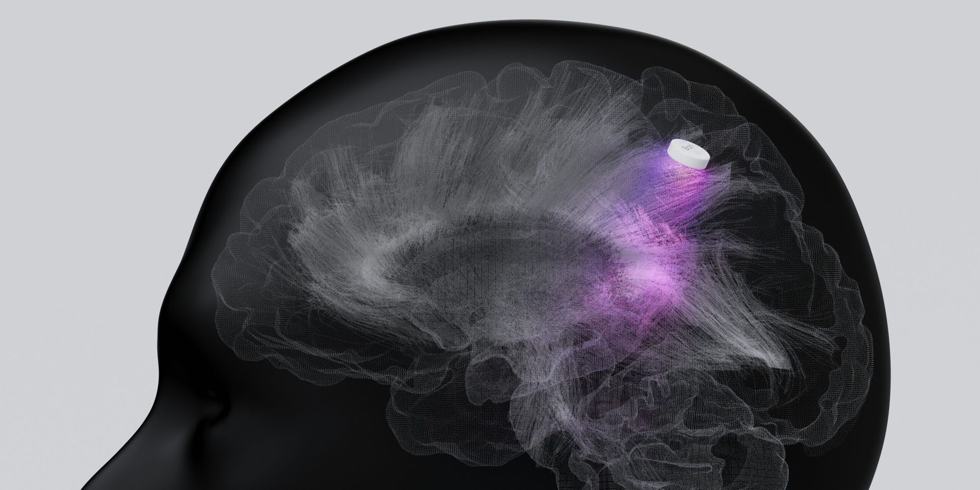 Scientists Reverse Memory Loss by Powering the Brain’s Tiny Engines