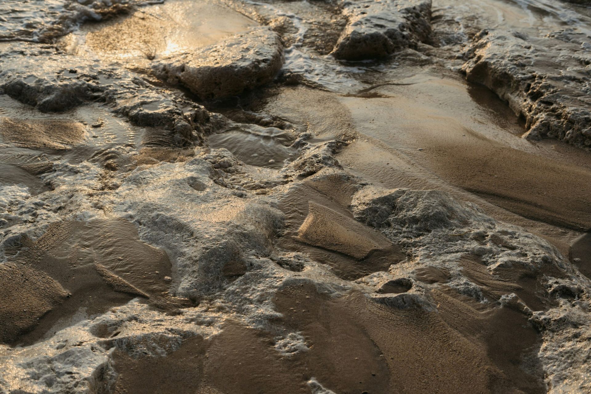 NASA’s Perseverance Rover Detects Signs of Ancient Life on Mars
