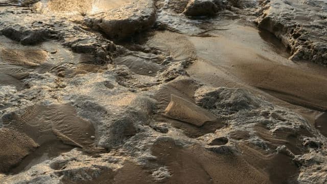 NASA’s Perseverance Rover Detects Signs of Ancient Life on Mars