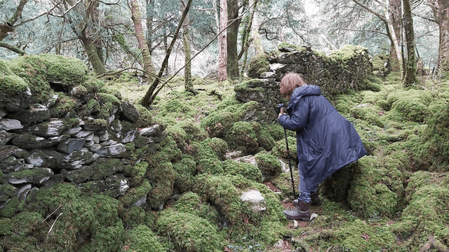 Explore the transformative power of Ireland's hidden sacred sites and the ancient Rites of Passage that guide women to reclaim their authentic selves.