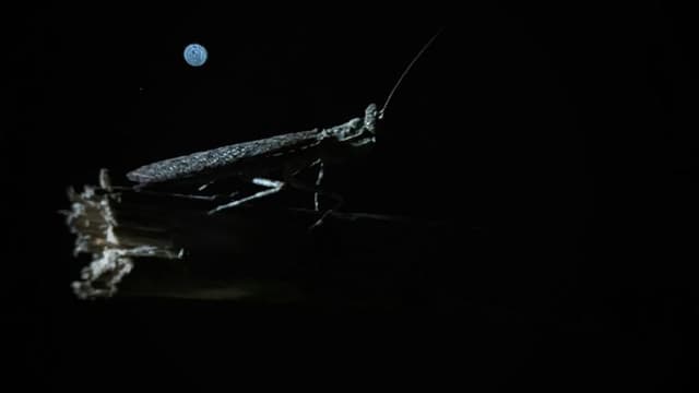 NASA’s Artemis I Successfully Completes Test Flight, Paving the Way for Lunar Exploration