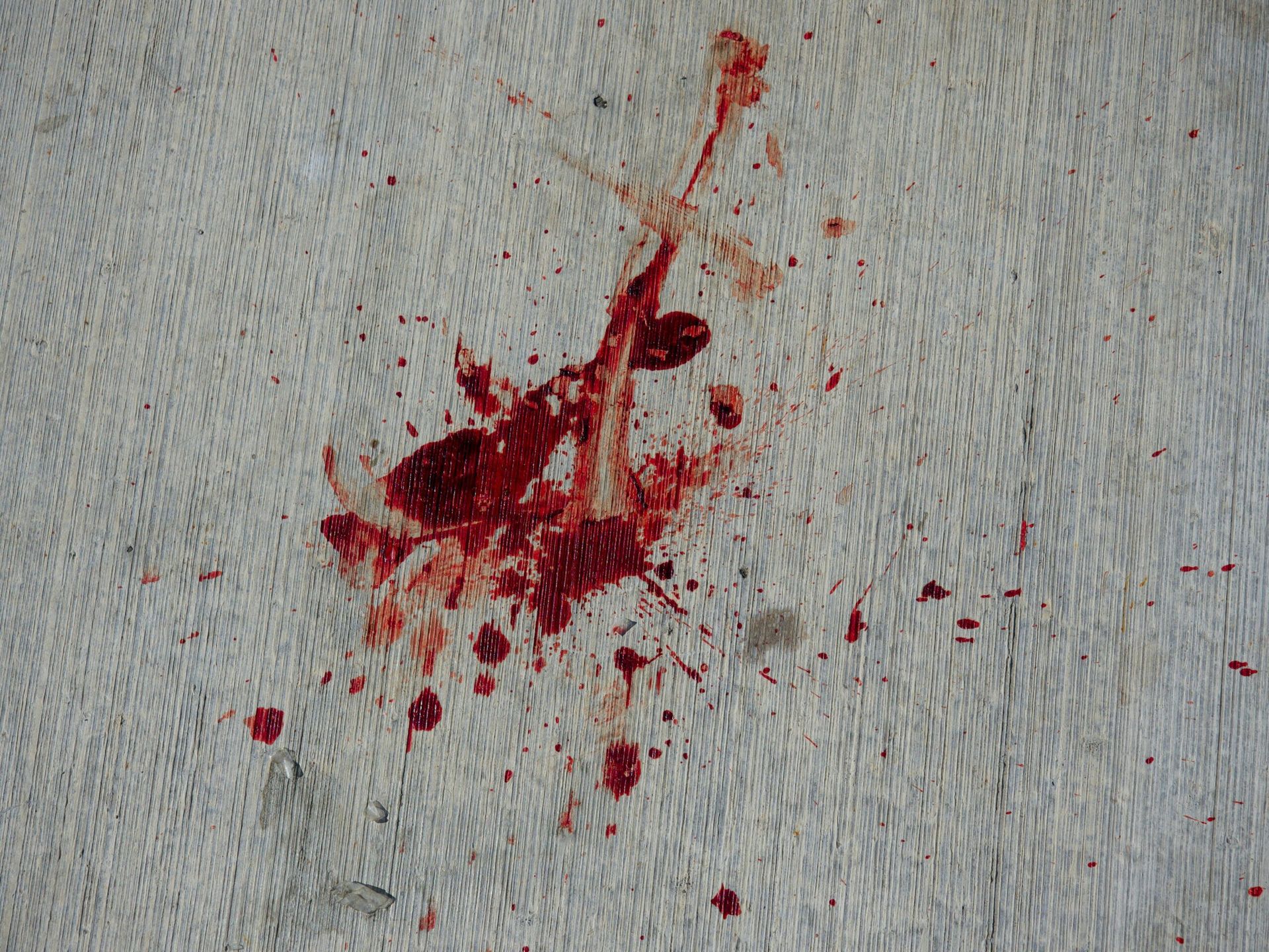 Attempted Assassination of Former President Trump Thwarted in Florida