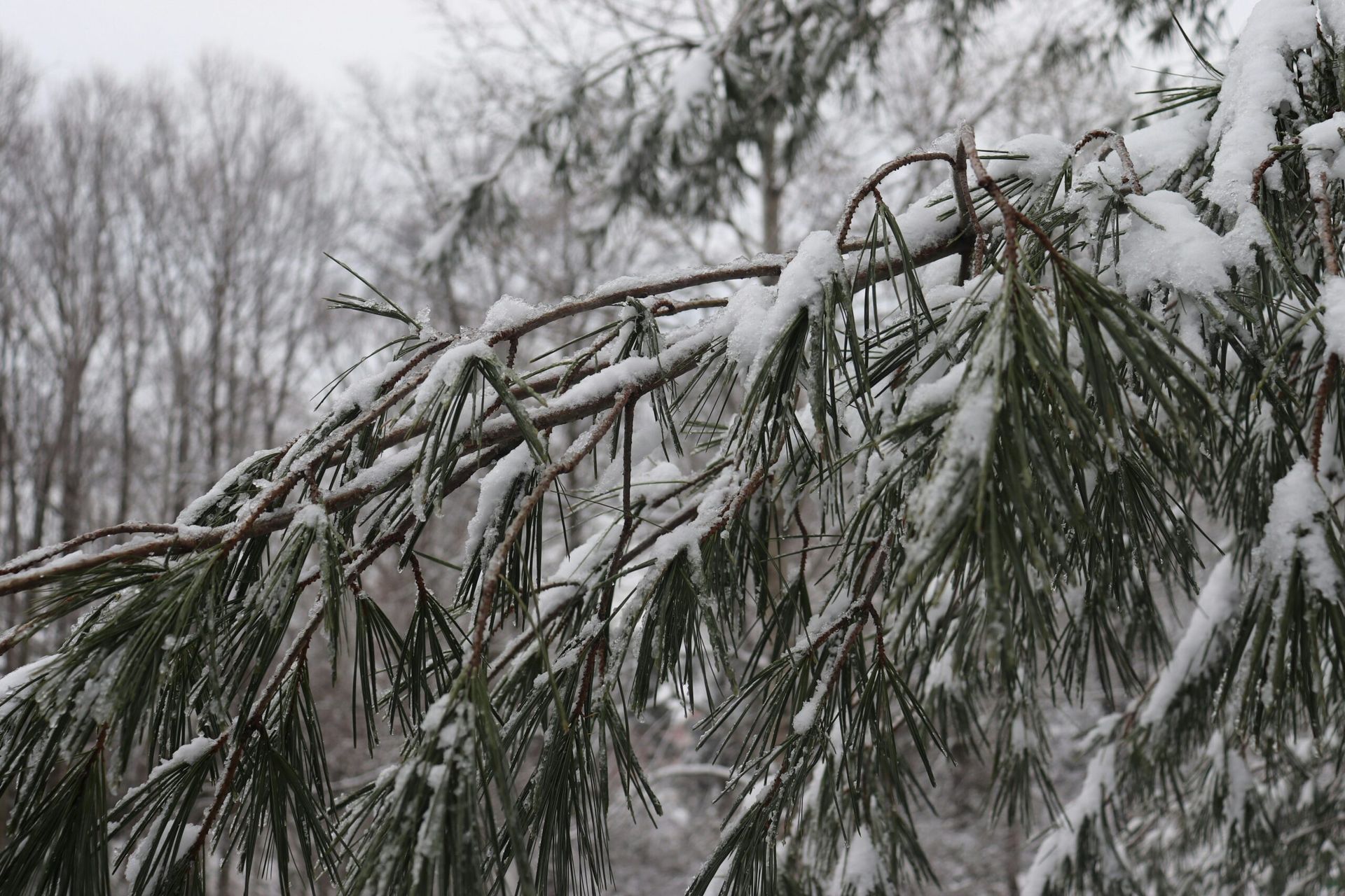Brutal Winter Storm Triggers State of Emergency Across Kentucky
