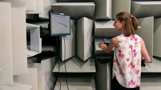 New Study Finds Brain Reuses “Modular Blocks” to Accelerate Learning