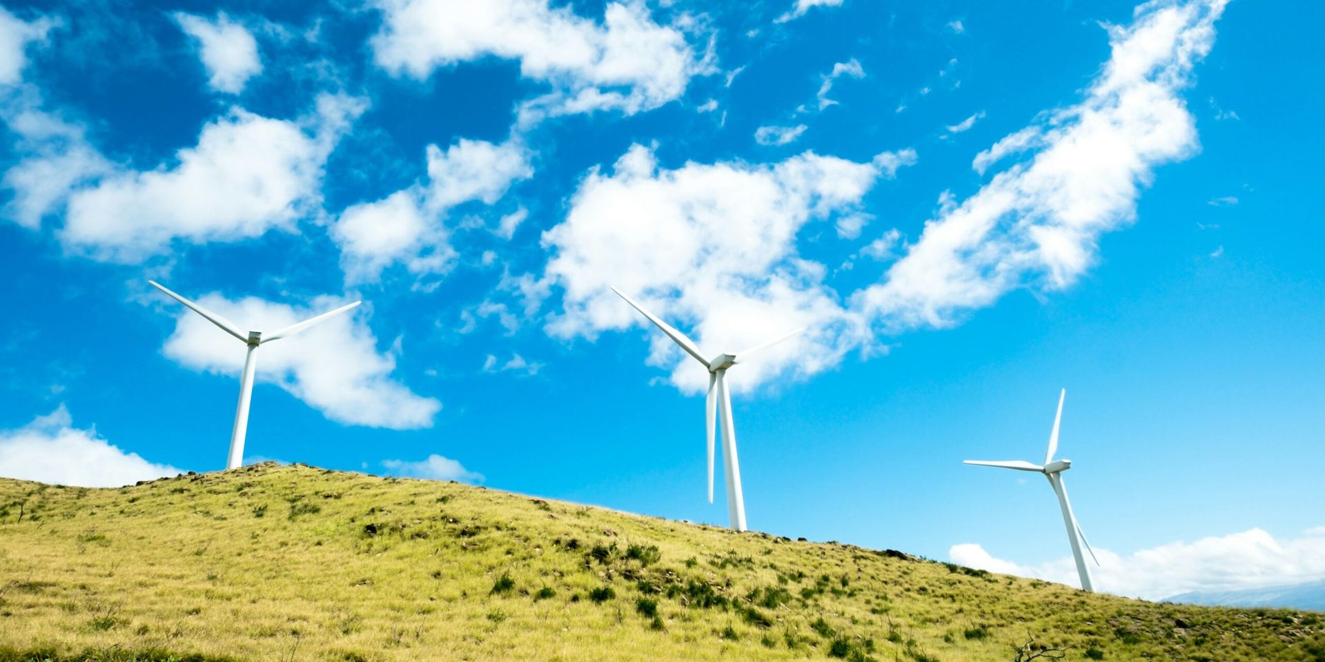 America’s Green Energy Boom: States Leading the Charge in Renewable Energy Adoption