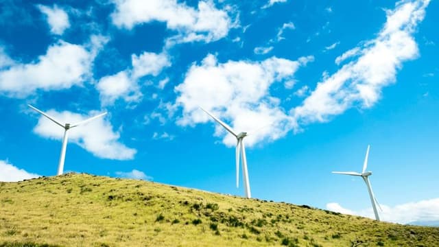 America’s Green Energy Boom: States Leading the Charge in Renewable Energy Adoption