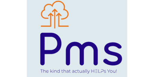 Parham Marketing Solutions (PMS) LLC: Bridging the Gap to Financial Empowerment Through Digital Marketing