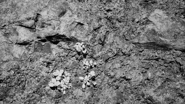 NASA’s Mars Sample Return Mission Captures Historic Rock Samples from Jezero Crater