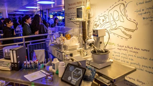 Google Launches Quantum AI for Healthcare Research: Speeding Up Drug Discovery and Diagnostics