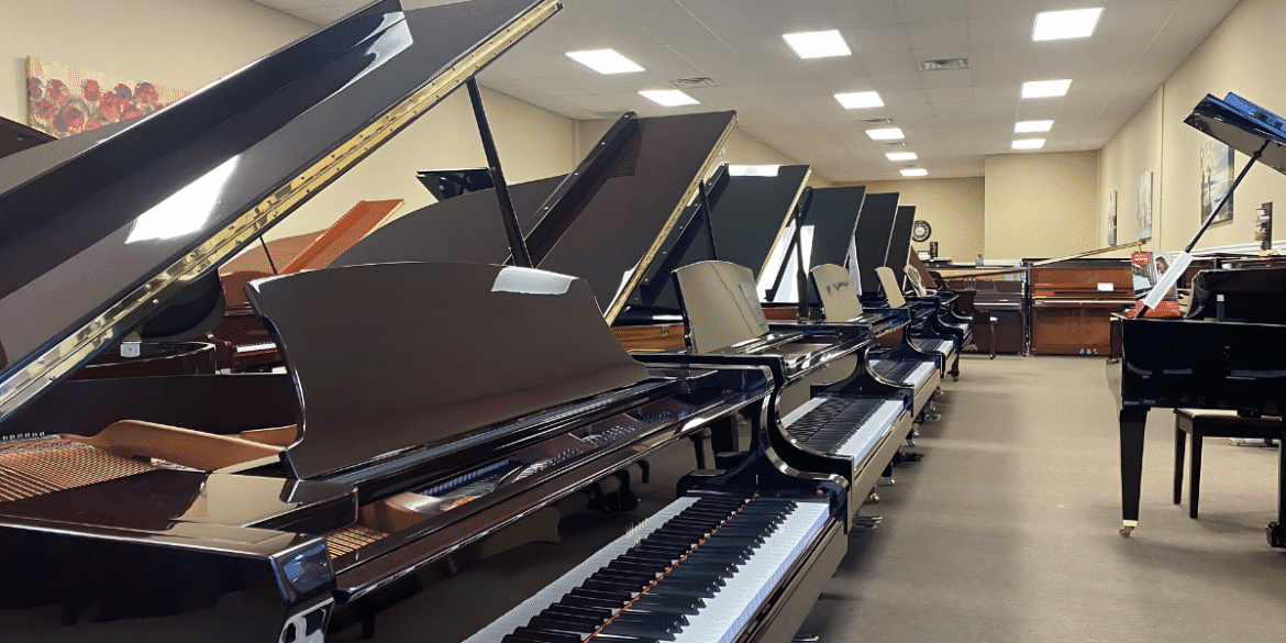 Interior of a piano showroom with several grand pianos on display, all with open lids and showing their keys, with a few other pianos in the background.