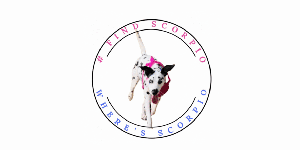 A Dalmatian dog running with the hashtag #FindScorpio, representing a movement of hope, love, and pet-family bonds.