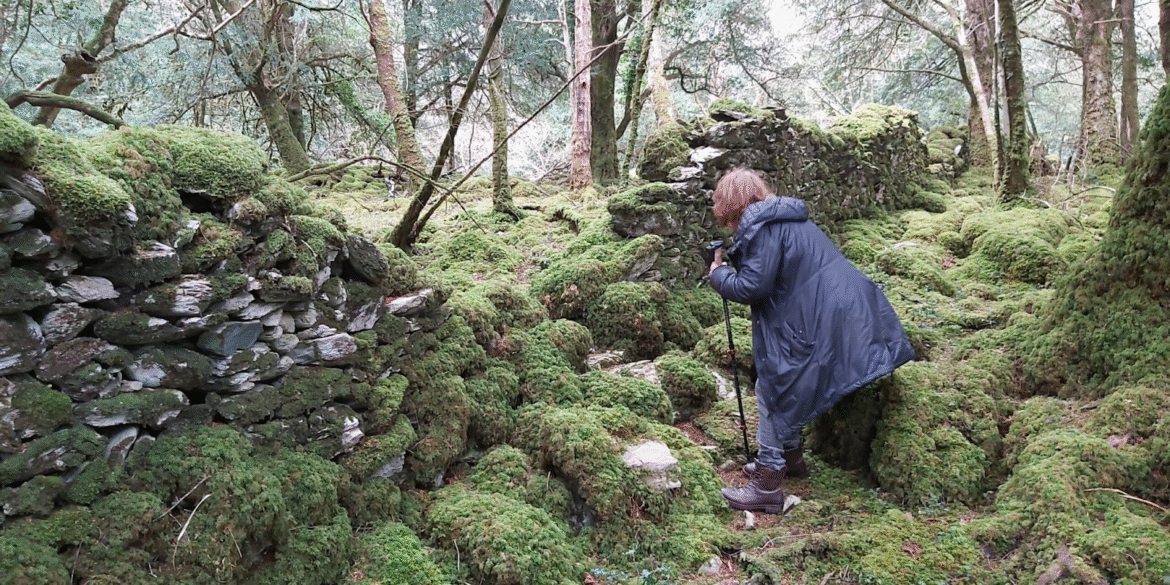 Explore the transformative power of Ireland's hidden sacred sites and the ancient Rites of Passage that guide women to reclaim their authentic selves.